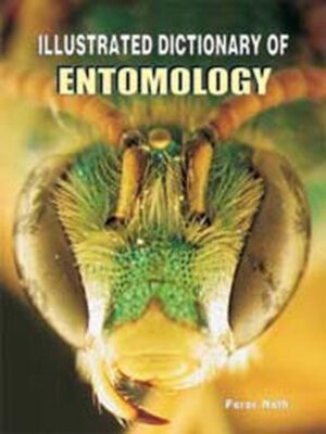cover image of Illustrated Dictionary of Entomology